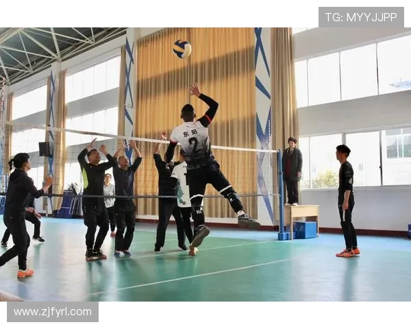 赵静独家分享排球心得与技巧助你提升球技的秘密解析