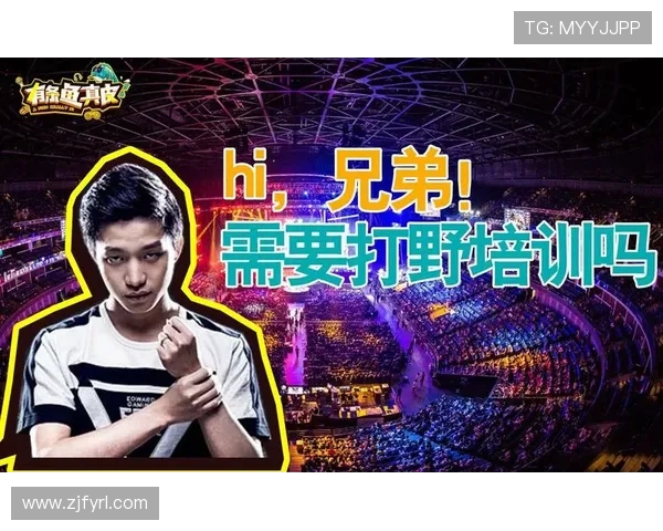 英雄联盟深度解析：揭示EDG战队背后的团队协作与默契秘诀